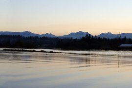 Campbell River Estuary cleanup