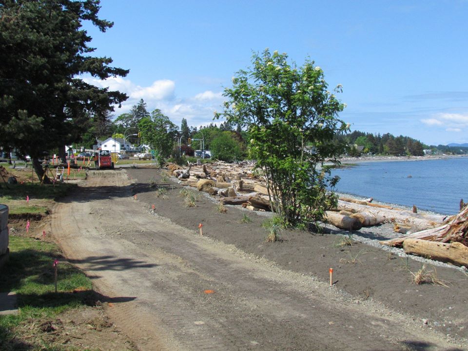Frank James Park shoreline restoration