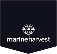 Marine Harvest Canada appeals court decision