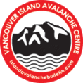 Understanding Avalanches on the Island