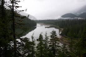 Great Bear Rainforest endorsed as part of the Queen’s Commonwealth Canopy