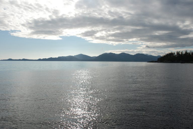 Negotiator of Great Bear Rainforest legacy pleased with attention