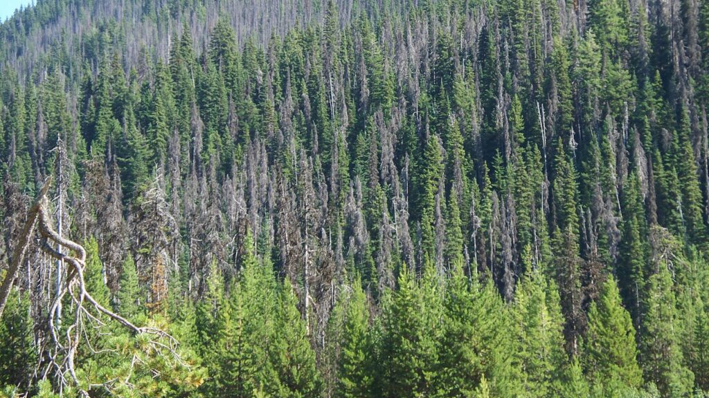 Sorry! Image not available at this time