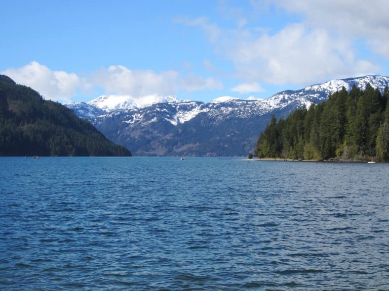 Fishers at Comox Lake Asked To Join Conservation Efforts