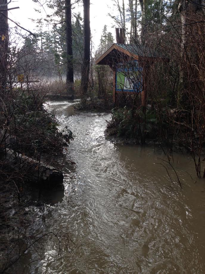 Upgrade Work In Progress on Fisherman’s Trail