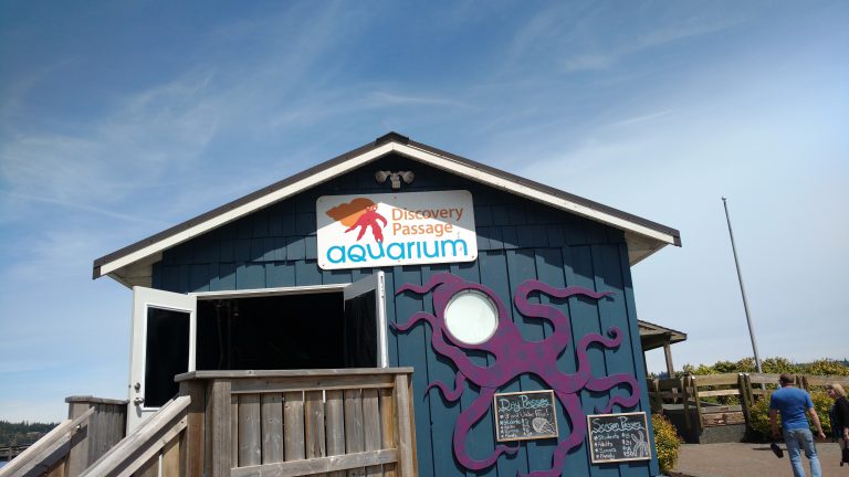 Aquarium strikes out on grants to support staff, programming