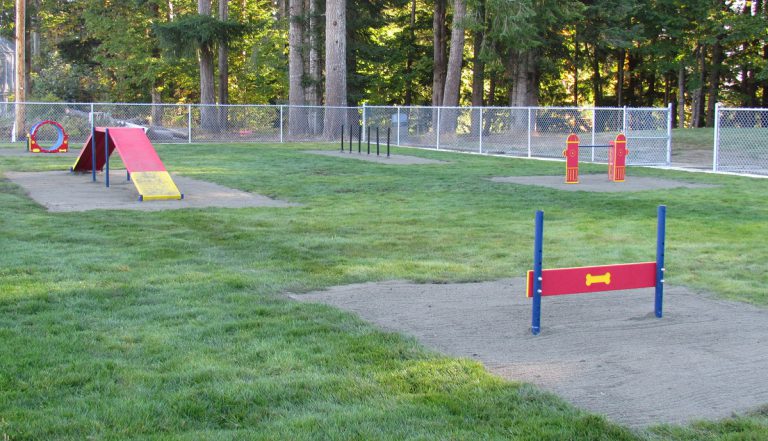 New dog agility park opens in Campbell River