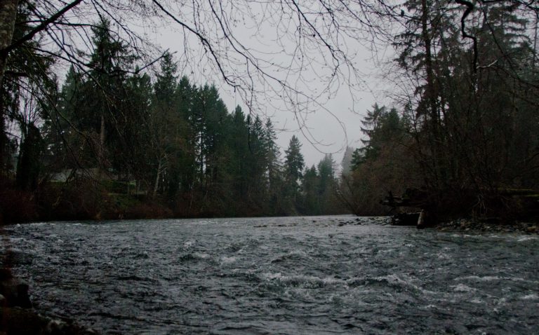 Flood watch issued for eastern Vancouver Island