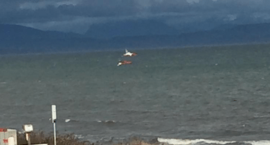 Rescue crews on scene in Campbell River near Woods Creek