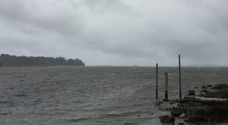 Wind warning in effect for eastern Vancouver Island