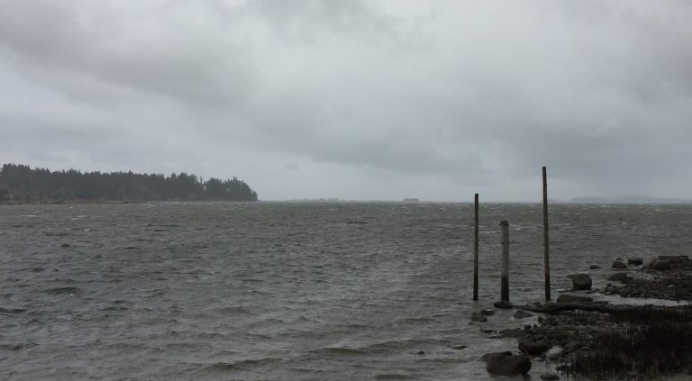 Wind warning in effect for eastern Vancouver Island