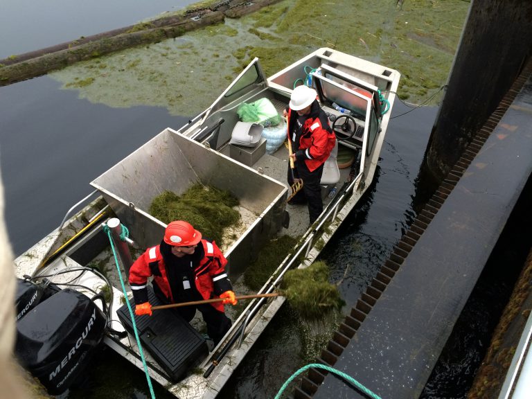 BC Hydro cleaning gunk out of John Hart Dam intakes this week