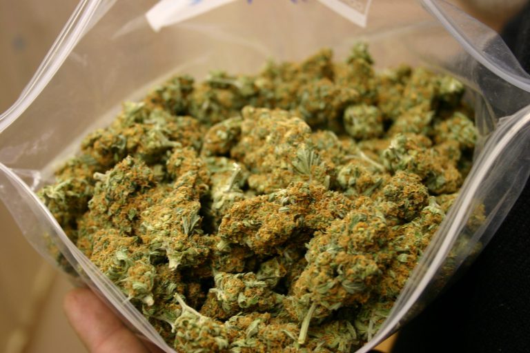 PUBLIC HEARING TO BE HELD ON POT BYLAWS