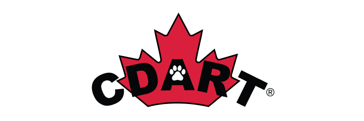 Training program aimed at dealing with animals during an emergency