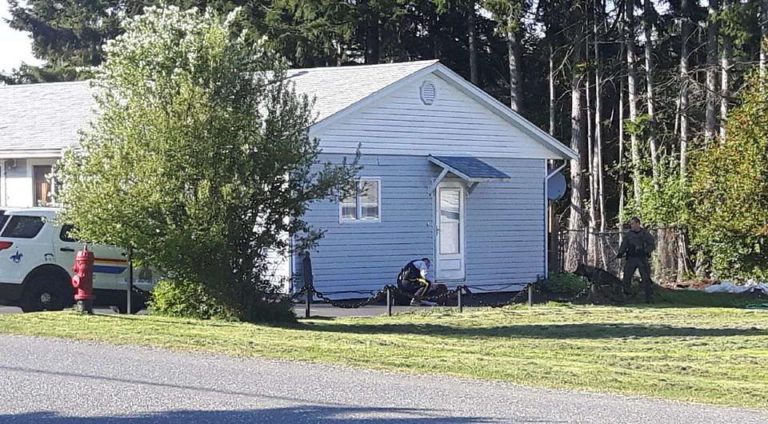 Man who led RCMP on foot chase was wanted for domestic violence