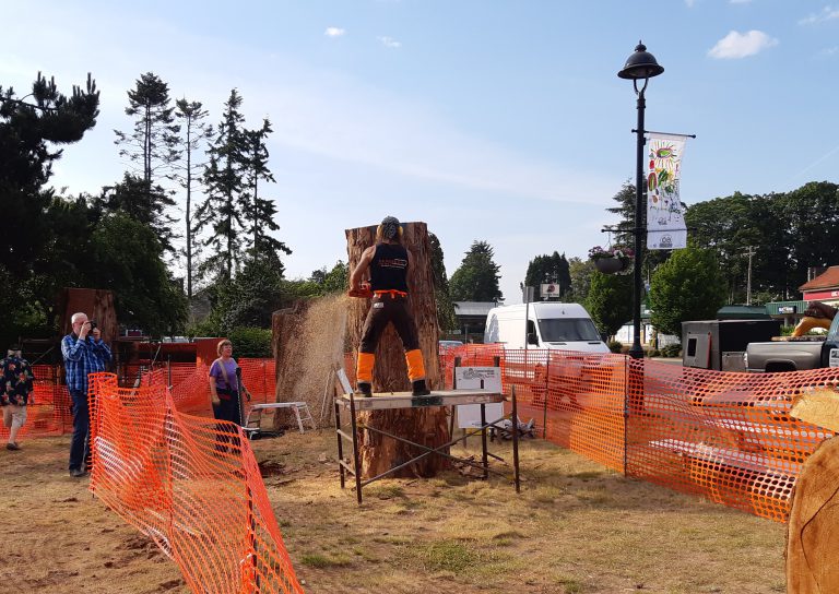 Wood carving competition kicks off today
