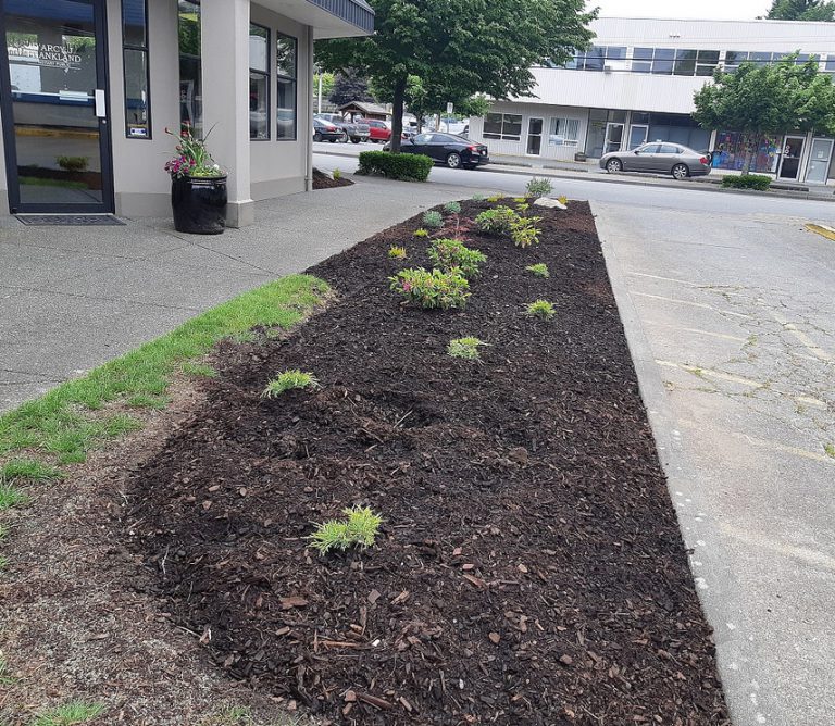 Plant theft uproots local business’s gardening