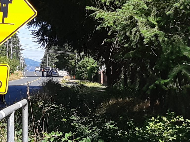 UPDATE: Police presence, street closed on Petersen Road