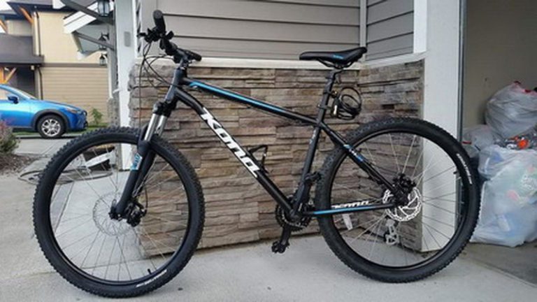 Thief steals bike from 12 year old
