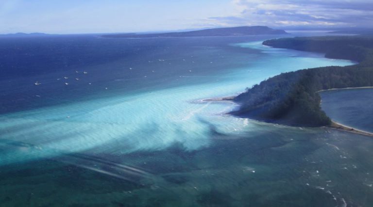 Denman Islanders looking to clean up the shores