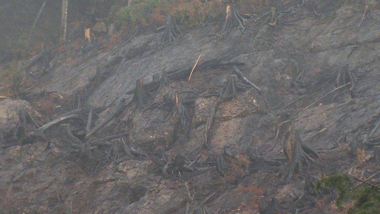 Province still assessing Zeballos landslide risk