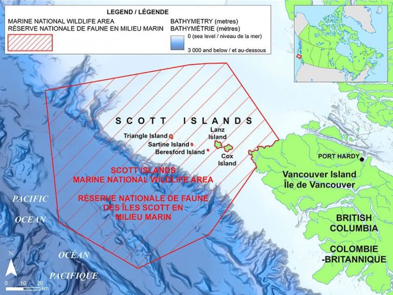 Federal government creates ‘national wildlife area’ for Scott Island