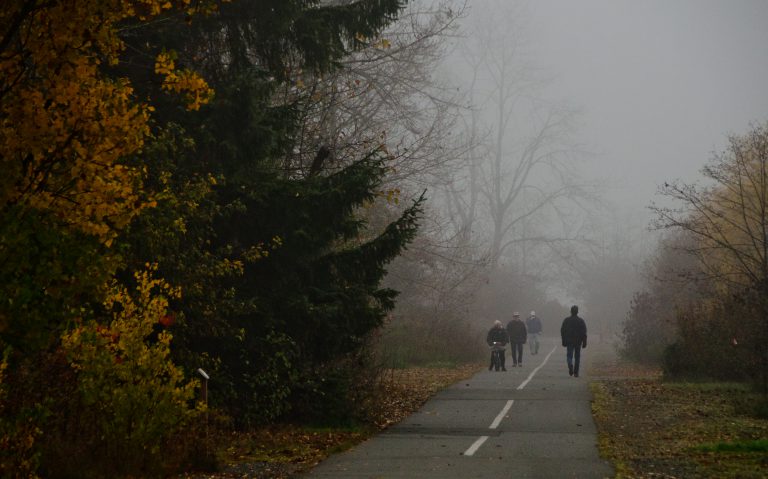 North Island fog fouls flight schedules