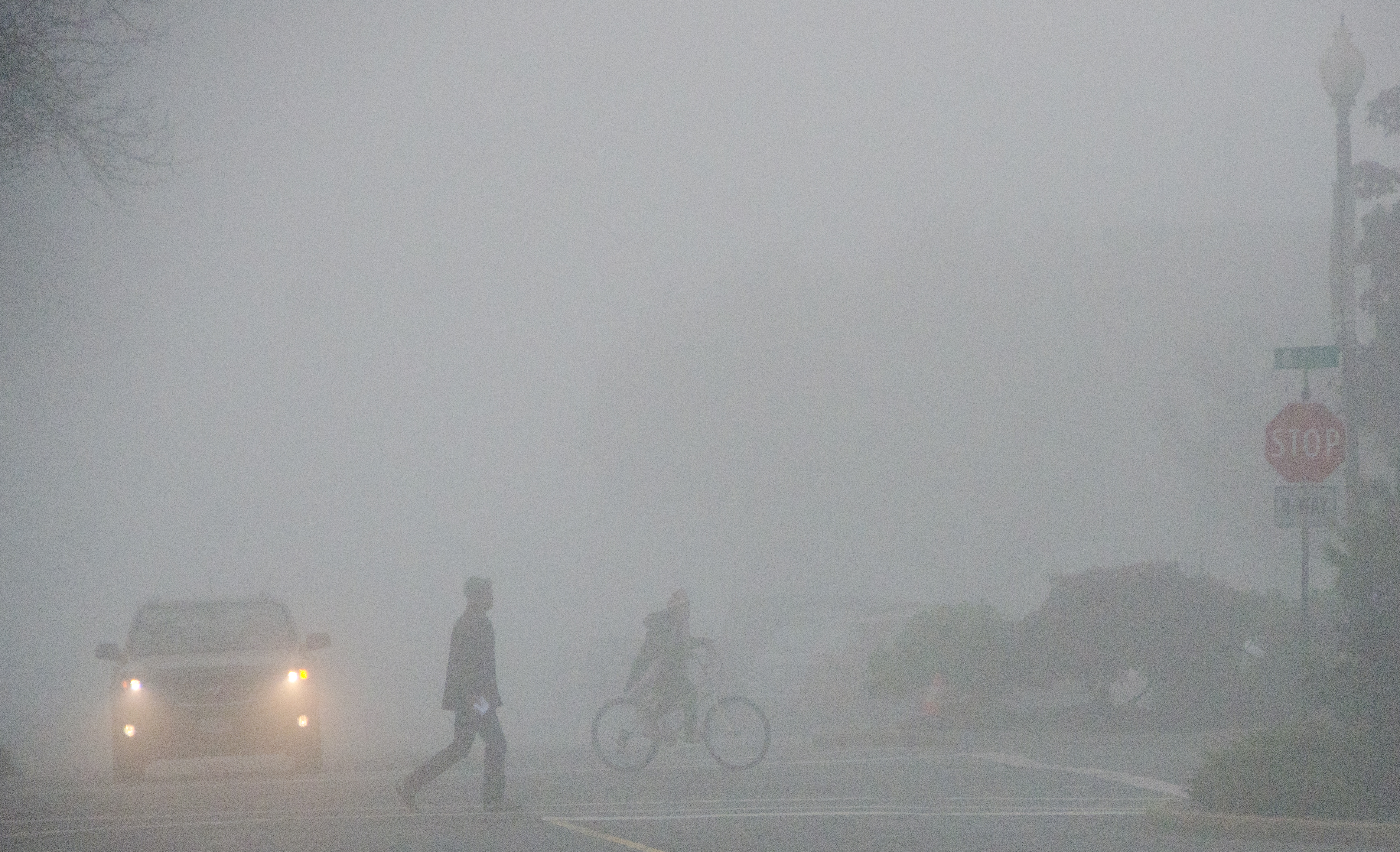 Foggy days ahead across North Island My Campbell River Now