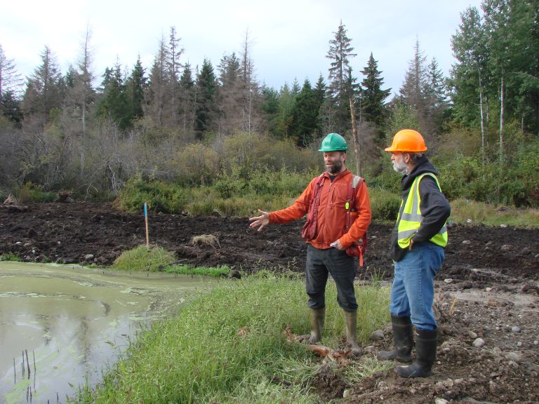 Milestone reached for Jubilee wetland project