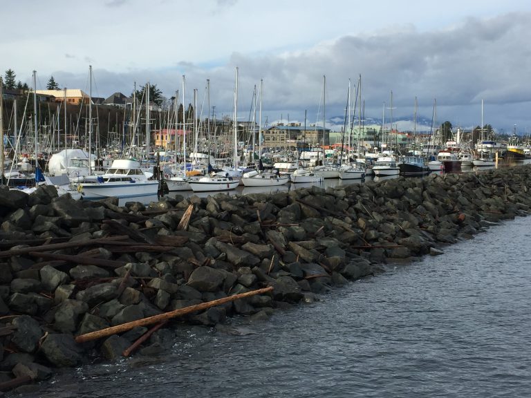 City of Campbell River seeking pier concession operator