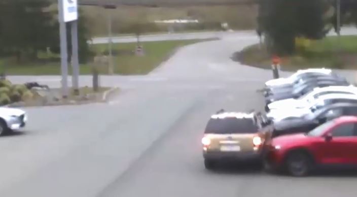 Suspect turns herself in following hit-and-run incident at Campbell River auto dealership