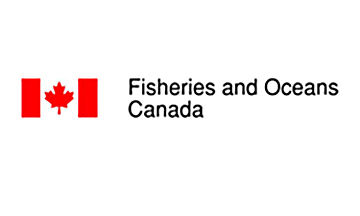 ‘No further investigation required’ on dead sea lion: DFO
