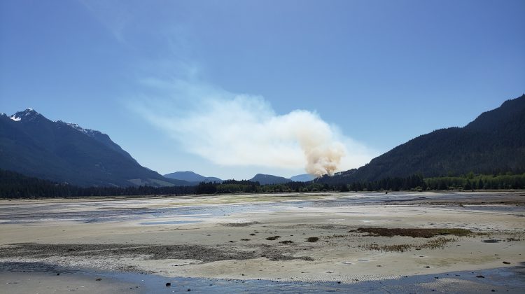 Sayward fire listed as ‘contained’ at 21 hectares