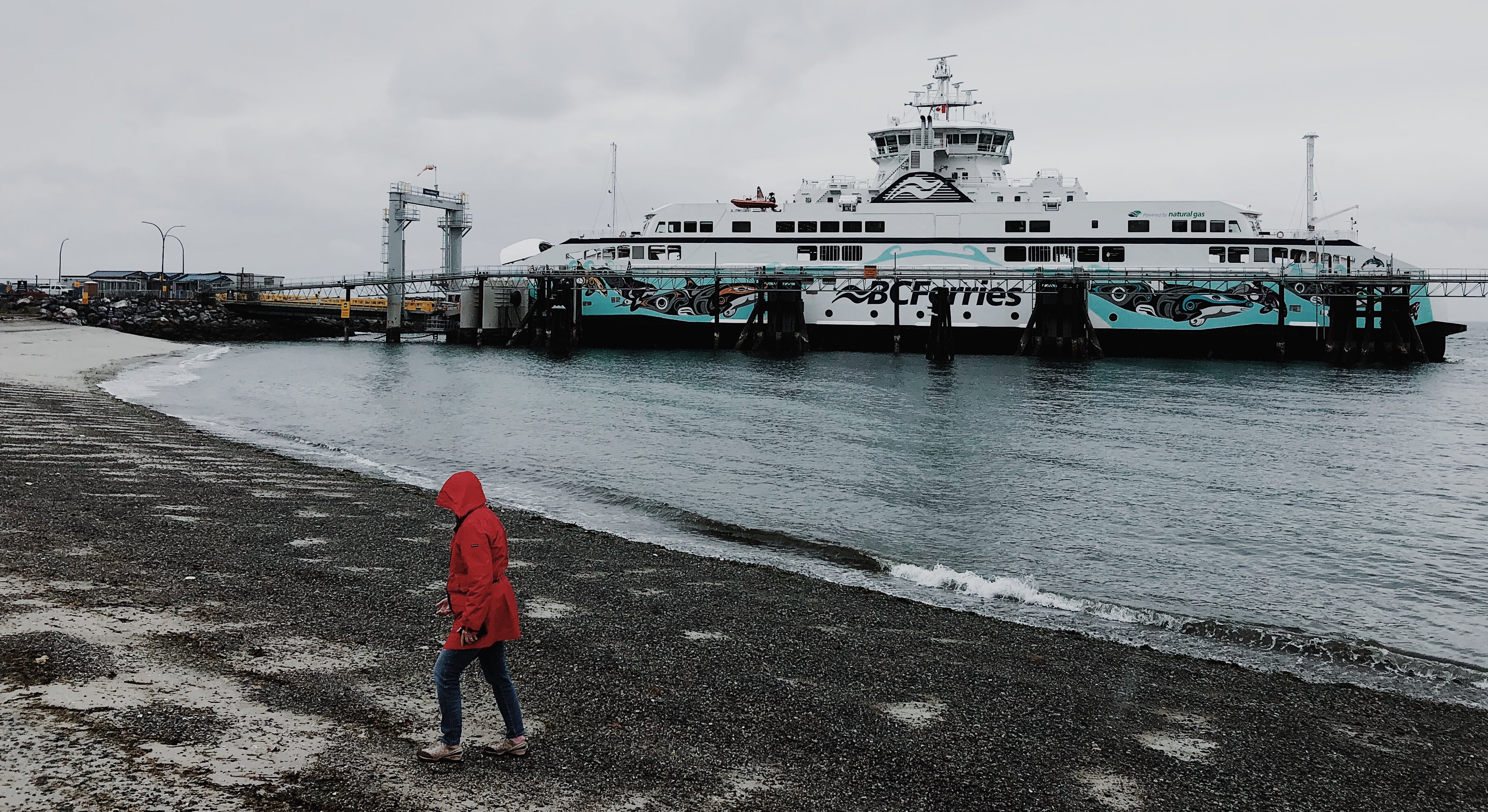 BC Ferries adding fuel surcharge due to rising gas costs - My Campbell 