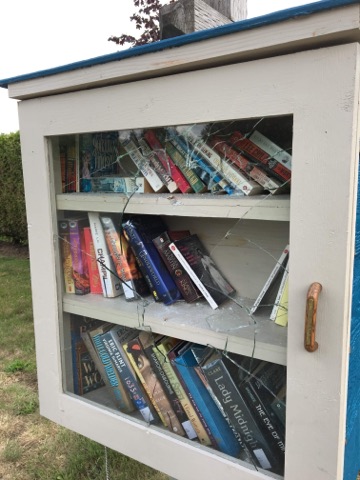 Several community libraries smashed