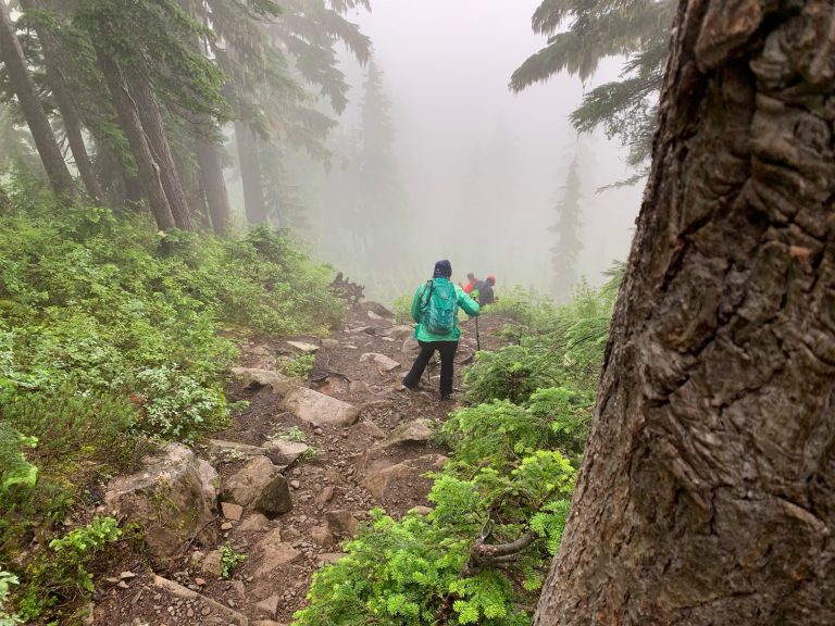 Two hikers rescued by Comox Valley Ground Search and Rescue