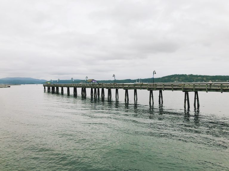 “Don’t jump off the pier”: city