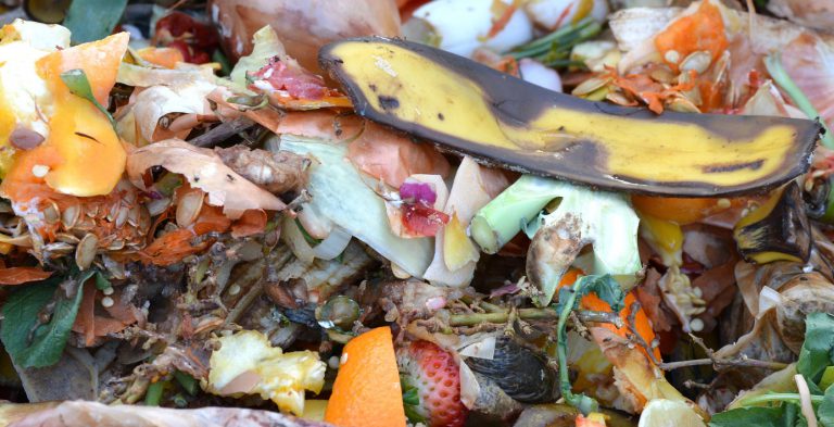 Food and yard waste will be collected in Campbell River starting this month