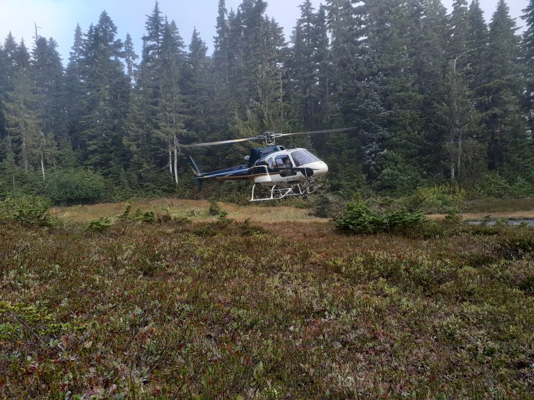 Comox Valley Ground SAR members help rescue hikers