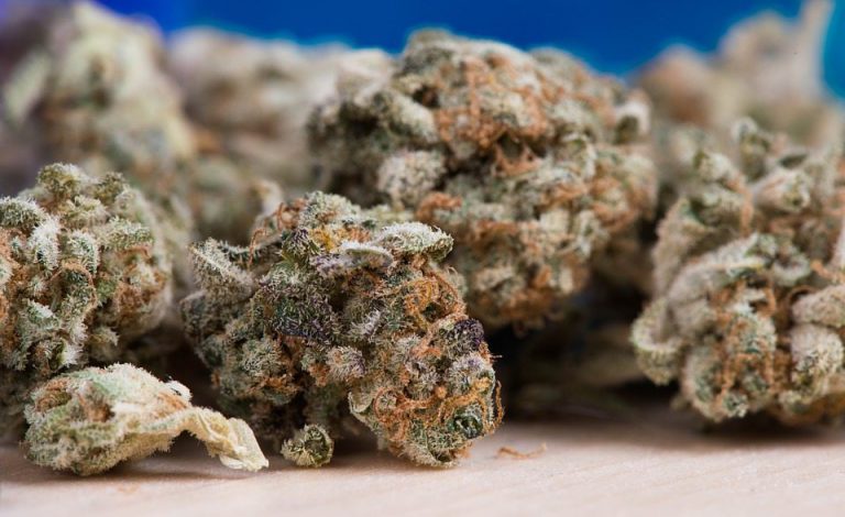 Pot sales dragging in B.C. since legalization