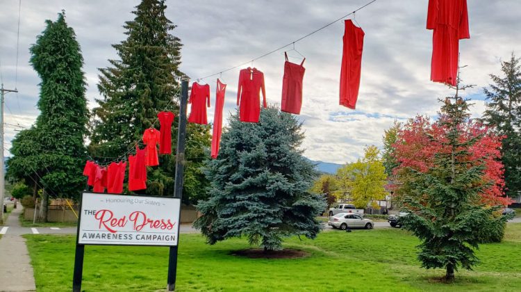 Red Dress Awareness campaign begins