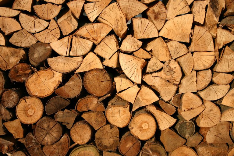 Permit required to cut wood on Crown land