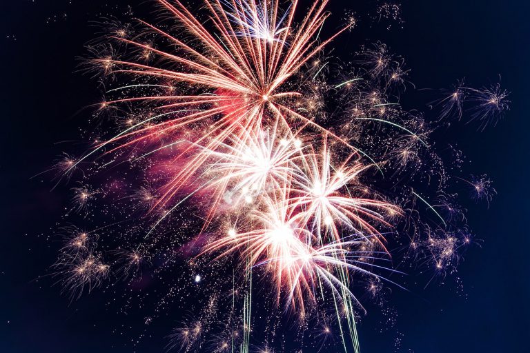 Fireworks harmful to wildlife’s health: MARS president