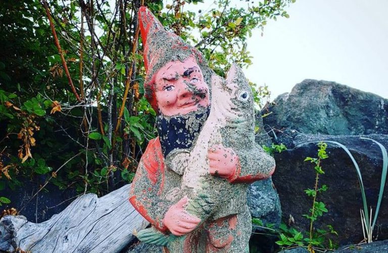Treasured gnome stolen from Campbell River build site
