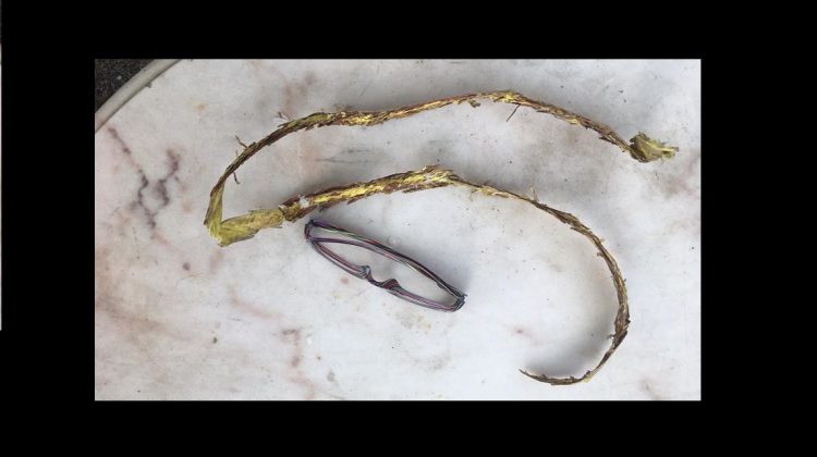 BC Ferries planned plastic cable installation frustrates Denman Islanders