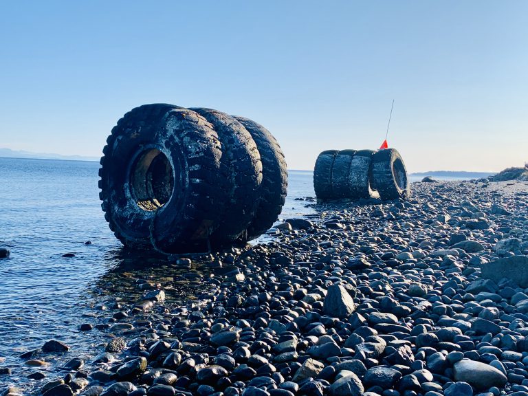 Large tires wash up on Stories Beach
