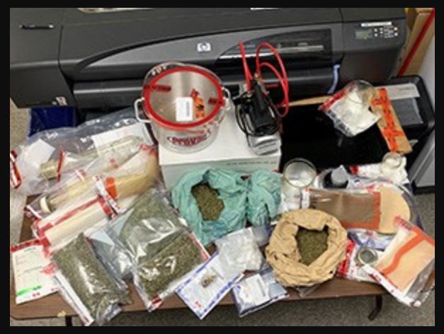 CFB Comox member charged with possessing magic mushrooms and drug production