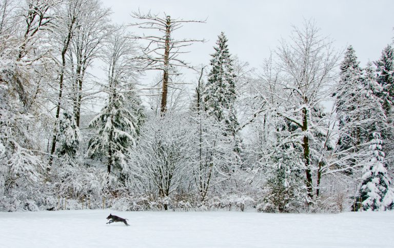 UPDATE: Winter storm warning still in place, more snow to come