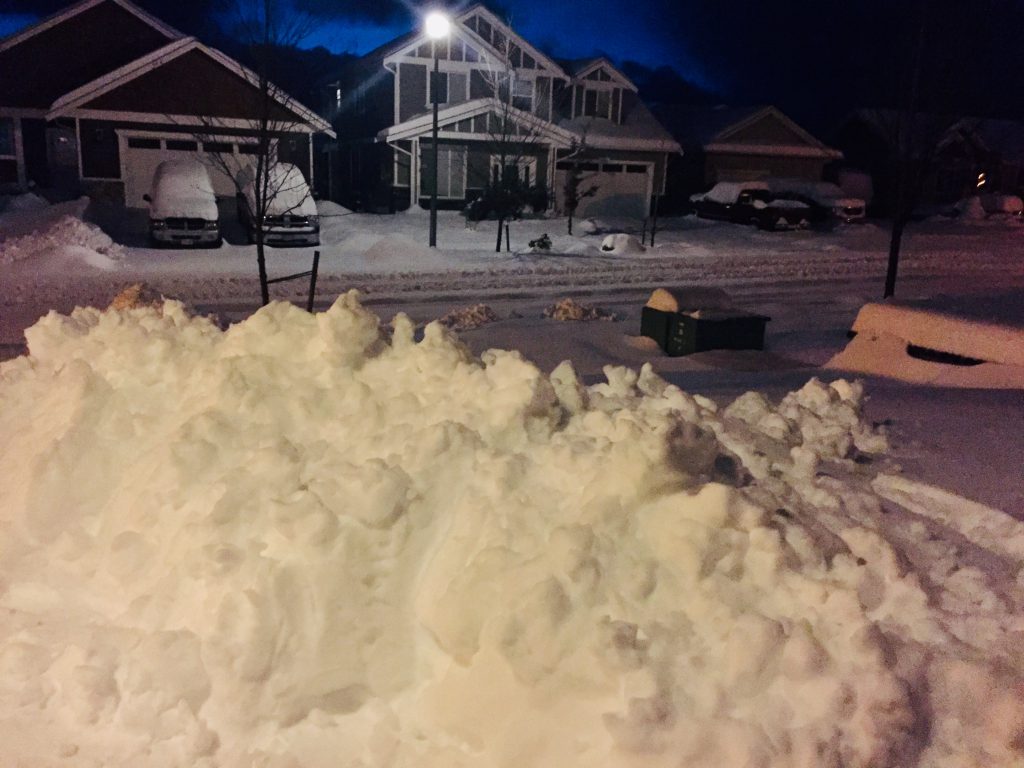 UPDATE Winter storm warning ends in Courtenay, Campbell