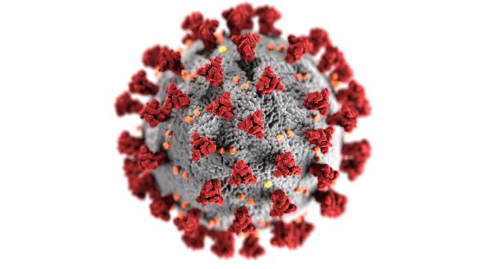 BC COVID-19 cases grow by 29, total stands at 1647